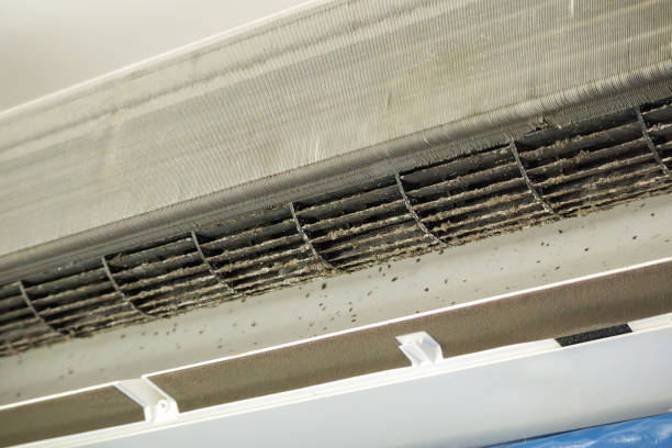 Best Commercial Air Duct Cleaning  in Stagecoach, NV