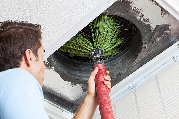 Best Air Duct Mold Removal  in Stagecoach, NV